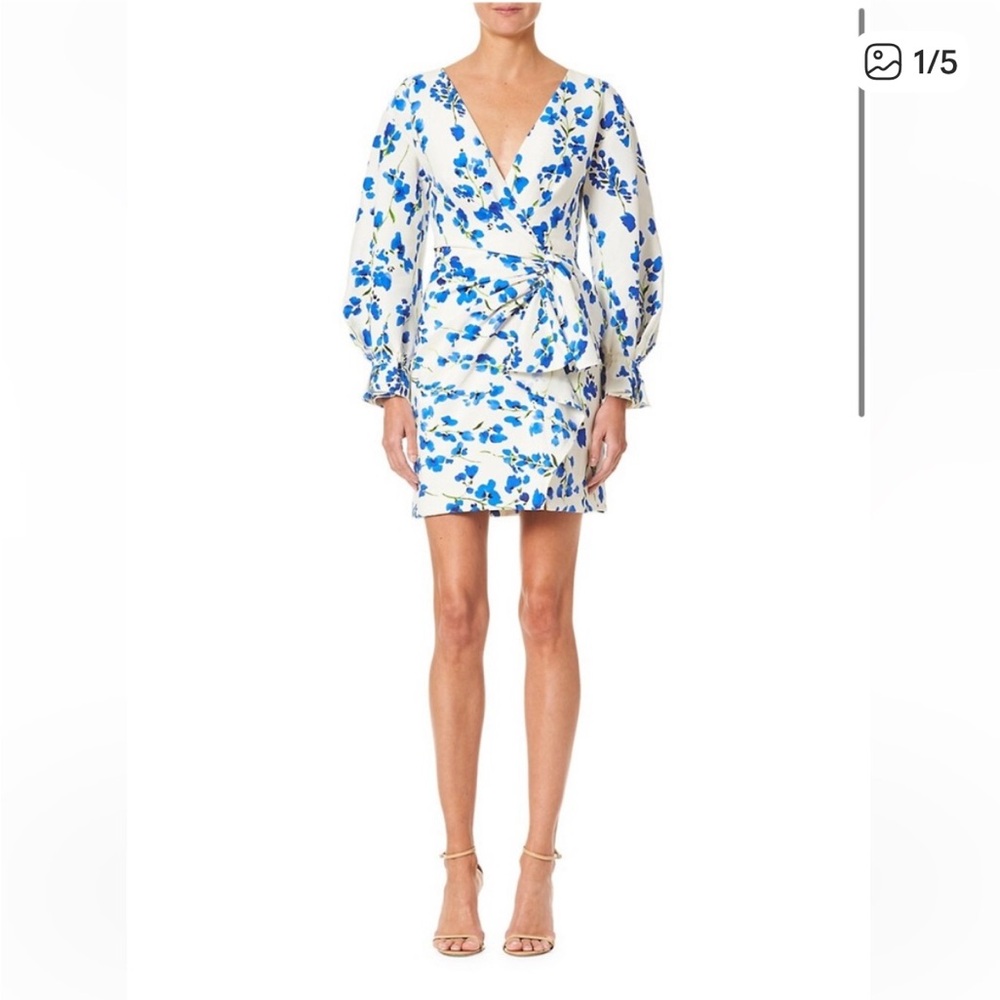 Carolina Herrera Blue and White Floral Dress
